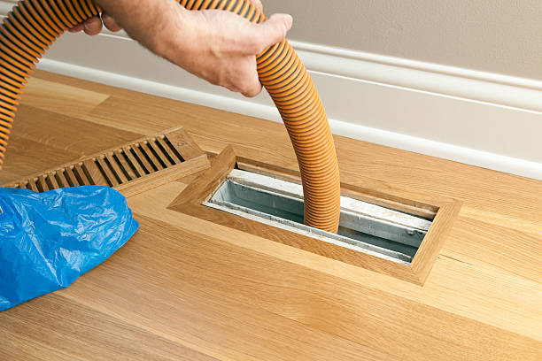 Best Air Vent Cleaning Services  in Mayville, ND